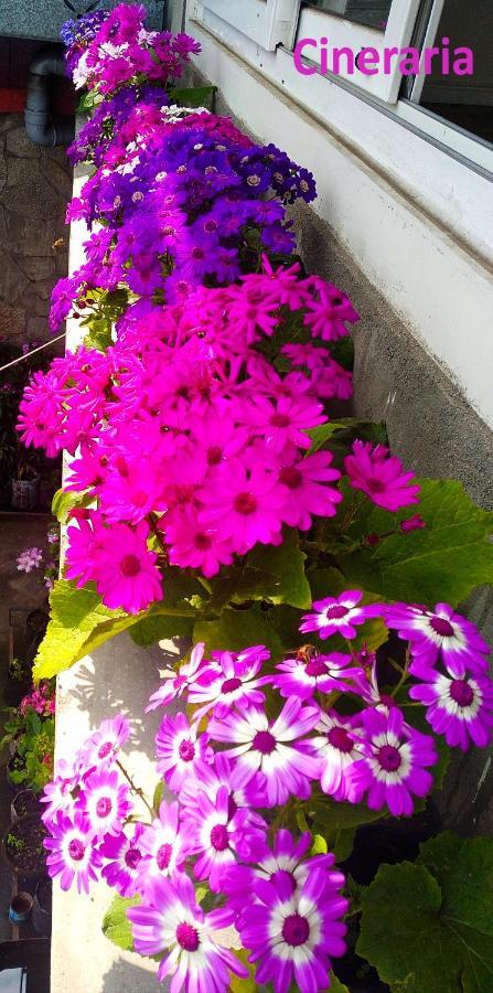 West Point Backpackers Hostel Darjeeling  Exteriör bild
